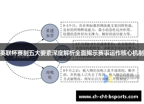英联杯赛制五大要素深度解析全面揭示赛事运作核心机制