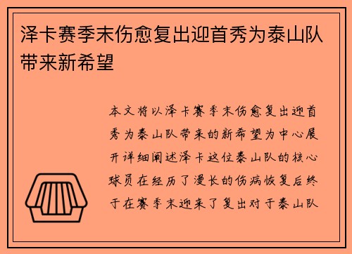 泽卡赛季末伤愈复出迎首秀为泰山队带来新希望